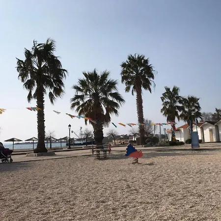 Golden Sun * فير